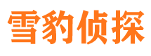 郴州外遇调查取证